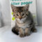 Paper