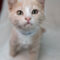 Rupert