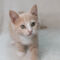 Rupert