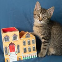House: House
