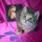 Dorothea