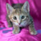 Marjorie