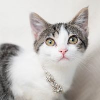 Ella